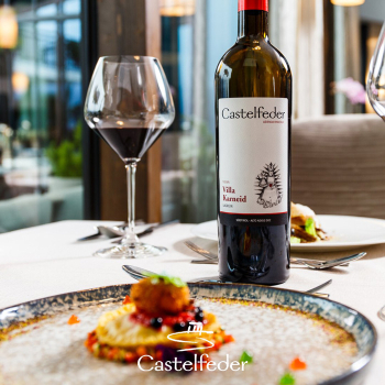 Lagrein “Vigna Villa Karneid” от Castelfeder - Червено Вино